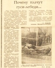 Оторванные головы железных птиц