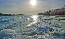 Ветреное и морозное начало декабря на Дону и ериках у станицы Старочеркасской