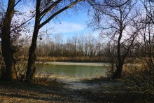 Ветреное и морозное начало декабря на Дону и ериках у станицы Старочеркасской