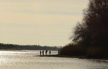 Ветреное и морозное начало декабря на Дону и ериках у станицы Старочеркасской