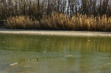 Ветреное и морозное начало декабря на Дону и ериках у станицы Старочеркасской