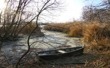 Ветреное и морозное начало декабря на Дону и ериках у станицы Старочеркасской