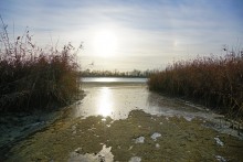Ветреное и морозное начало декабря на Дону и ериках у станицы Старочеркасской