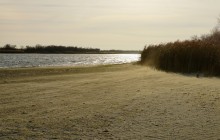 Ветреное и морозное начало декабря на Дону и ериках у станицы Старочеркасской