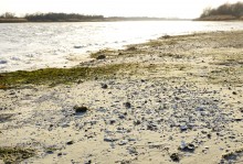 Ветреное и морозное начало декабря на Дону и ериках у станицы Старочеркасской