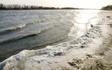 Ветреное и морозное начало декабря на Дону и ериках у станицы Старочеркасской