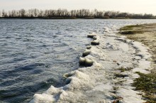 Ветреное и морозное начало декабря на Дону и ериках у станицы Старочеркасской