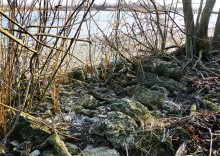 Остатки Траншемента времён петровских походов, на берегу Дону у Аненской крепости