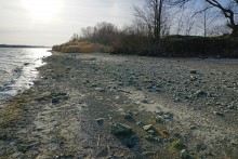 Остатки Траншемента времён петровских походов, на берегу Дону у Аненской крепости