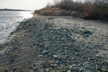 Остатки Траншемента времён петровских походов, на берегу Дону у Аненской крепости