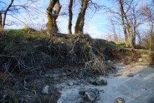 Остатки Траншемента времён петровских походов, на берегу Дону у Аненской крепости