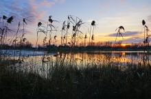 Декабрьский тихий вечер на Дону после зимней бури