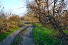 Декабрьский тихий вечер на Дону после зимней бури