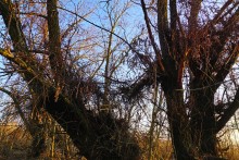 Декабрьский тихий вечер на Дону после зимней бури