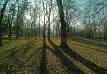 Декабрь в парке им. Н. Островского