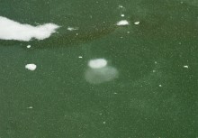 Лёд на реке Кундрючьей под скалами у хутора Дубового