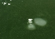 Лёд на реке Кундрючьей под скалами у хутора Дубового