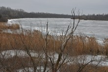 Петровская лука зимой