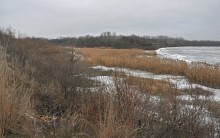 Петровская лука зимой