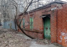 Старый дом с деревом на ул. Тельмана