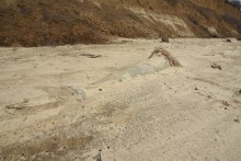 История морских десантов на Миусском полуострове в Таганрогском заливе