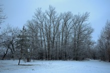 Февральский иней на Дону