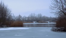 Февральский иней на Дону