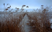 Февральский иней на Дону