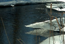 Хутор Нижнесеребряковский на реке Быстрой