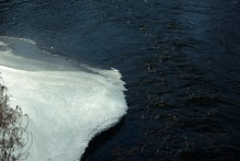 Хутор Нижнесеребряковский на реке Быстрой