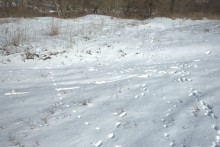 Хутор Нижнесеребряковский на реке Быстрой