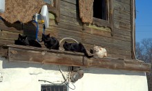 Хутор Нижнесеребряковский на реке Быстрой