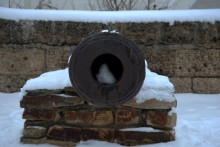 История Воскресенского войскового собора в станице Старочеркасской