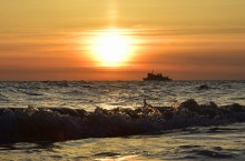 Прогулка по городу Сочи и окрестностям в феврале