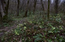 Прогулка по городу Сочи и окрестностям в феврале