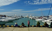 Прогулка по городу Сочи и окрестностям в феврале