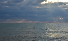 Прогулка по городу Сочи и окрестностям в феврале