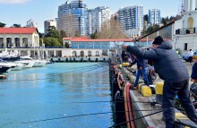 Прогулка по городу Сочи и окрестностям в феврале