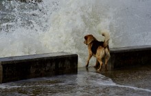 Прогулка по городу Сочи и окрестностям в феврале