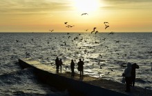 Прогулка по городу Сочи и окрестностям в феврале