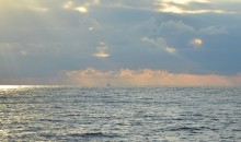 Прогулка по городу Сочи и окрестностям в феврале