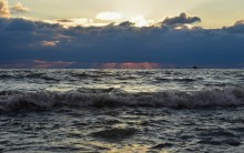 Прогулка по городу Сочи и окрестностям в феврале