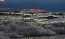 Прогулка по городу Сочи и окрестностям в феврале