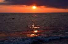 Прогулка по городу Сочи и окрестностям в феврале