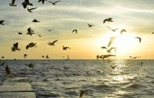 Прогулка по городу Сочи и окрестностям в феврале