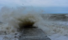 Прогулка по городу Сочи и окрестностям в феврале