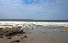 Ранняя весна на берегу Таганрогского залива