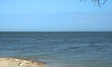 Ранняя весна на берегу Таганрогского залива