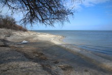 Ранняя весна на берегу Таганрогского залива