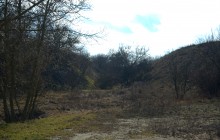 Ранняя весна на берегу Таганрогского залива